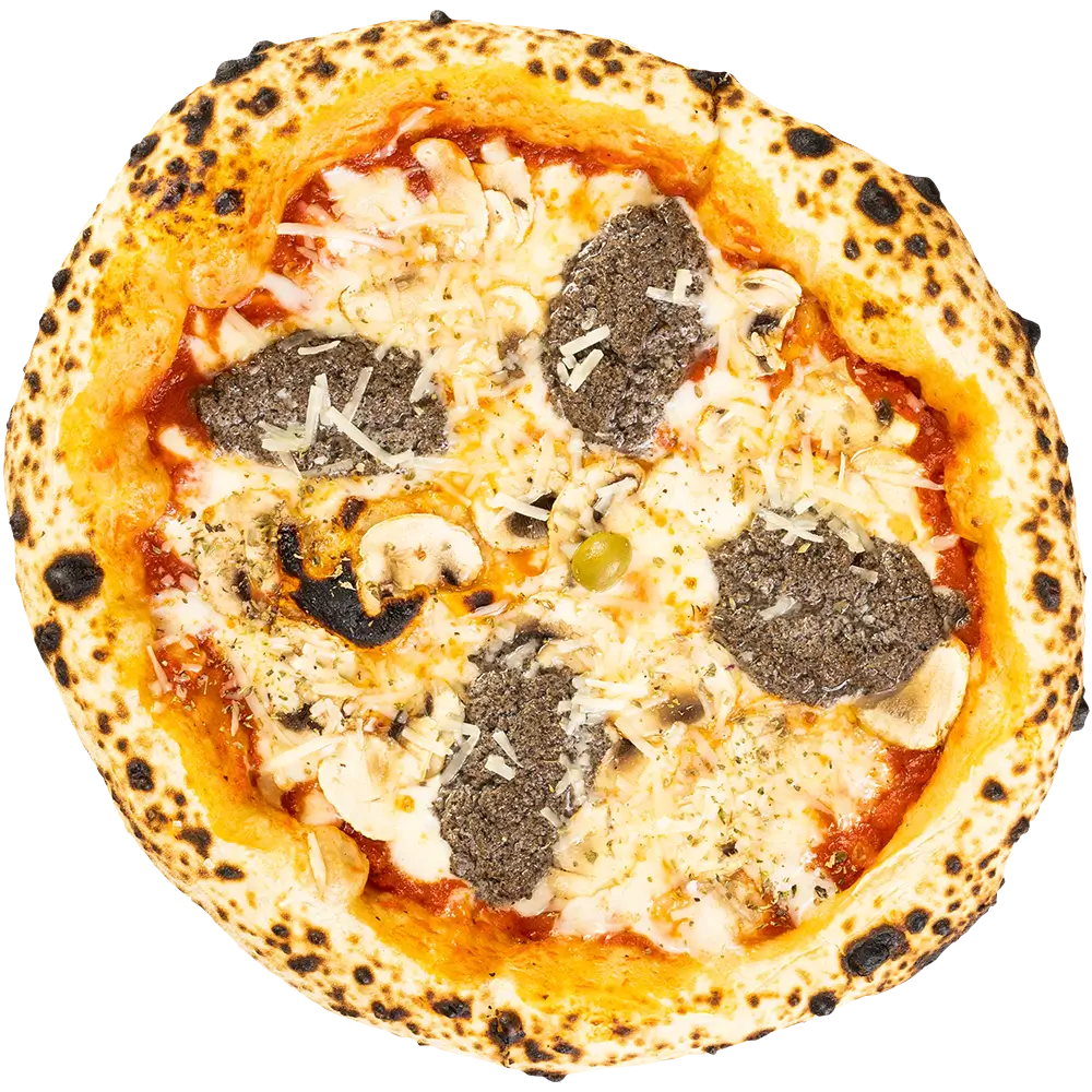 Tartufo Funghi